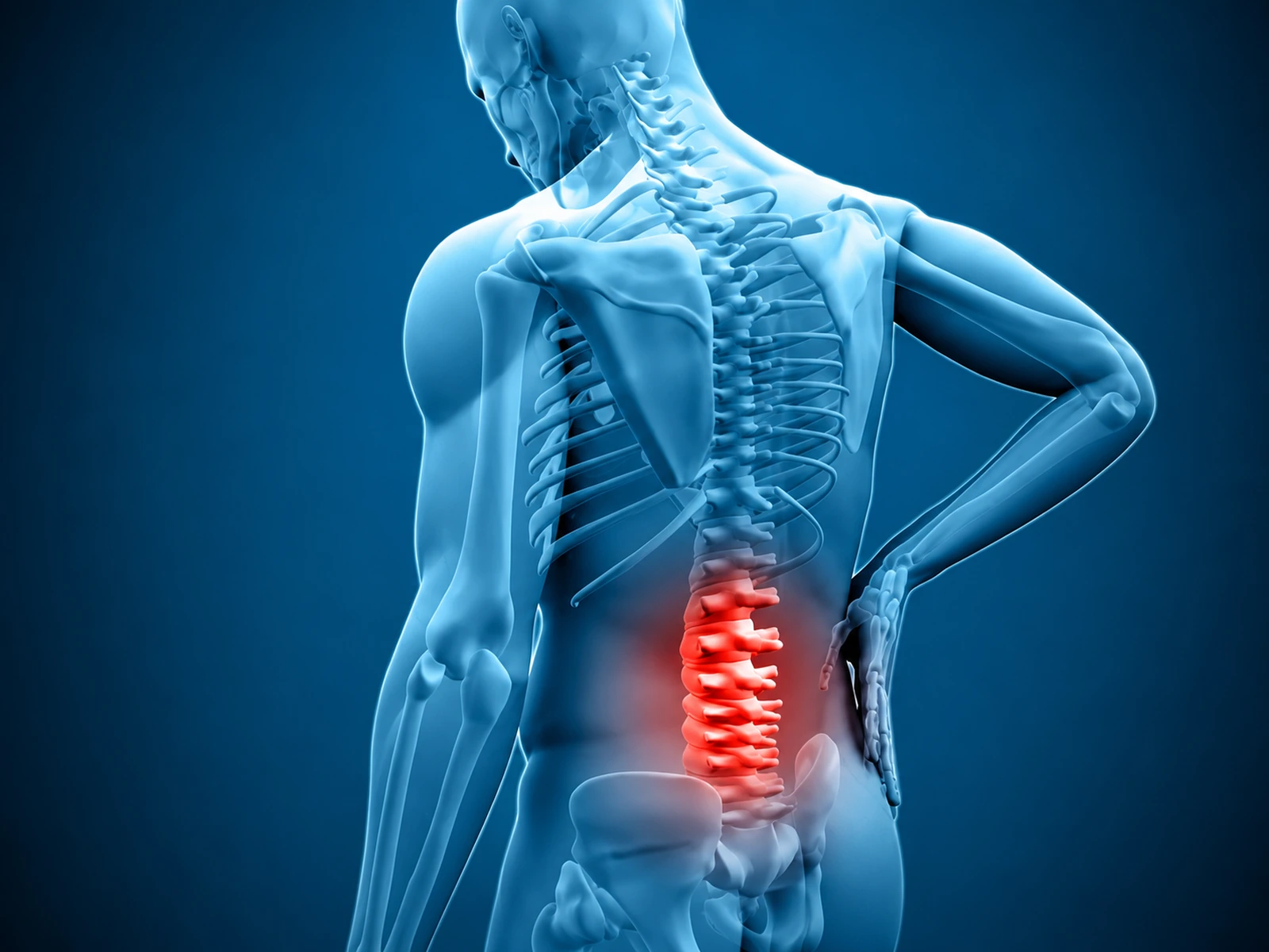 Medical illustration highlighting the lumbar spine